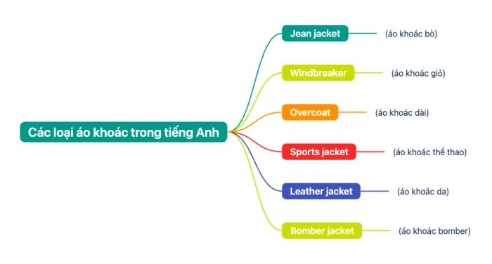 Hệ thống phân loại cơ bản áo khoác trong tiếng Anh