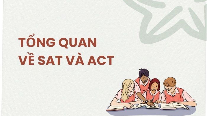 Khái quát chung về hai kỳ thi SAT và ACT