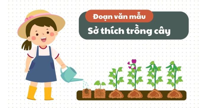 Bài mẫu số 5: Thú vui trồng cây cảnh