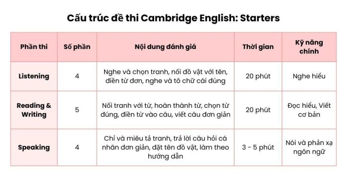 Phân tích chi tiết cấu trúc bài thi Starters Cambridge