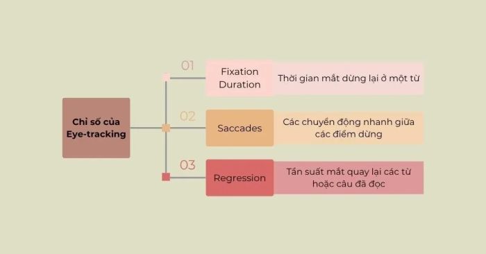 Các thông số đo lường chuyển động mắt trong nghiên cứu khoa học