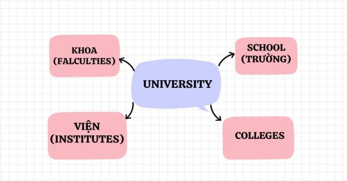 khái niệm university là gì