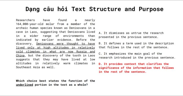 Ví dụ minh họa Craft and Structure: Dạng bài Cấu trúc và Mục đích Văn bản