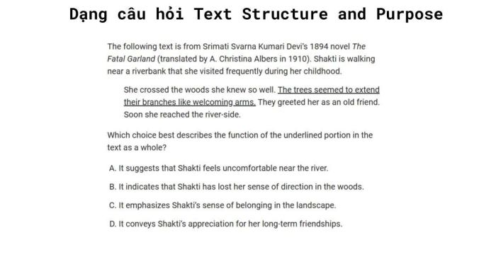 Thực hành Craft and Structure Bài 2