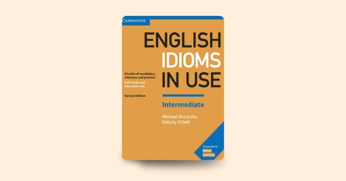 English Idioms in Use (Intermediate)