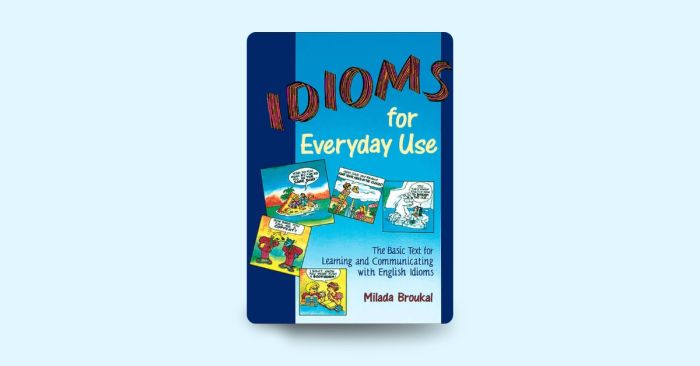 Idioms for Everyday Use