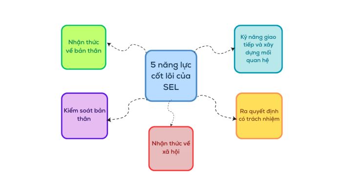 Năm yếu tố nền tảng trong Social Emotional Learning