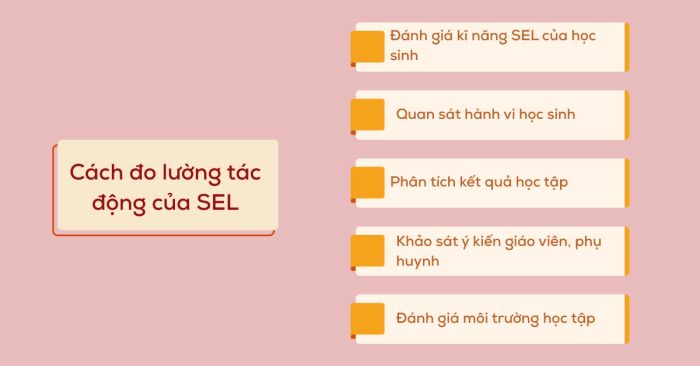 Phương pháp đánh giá hiệu quả SEL