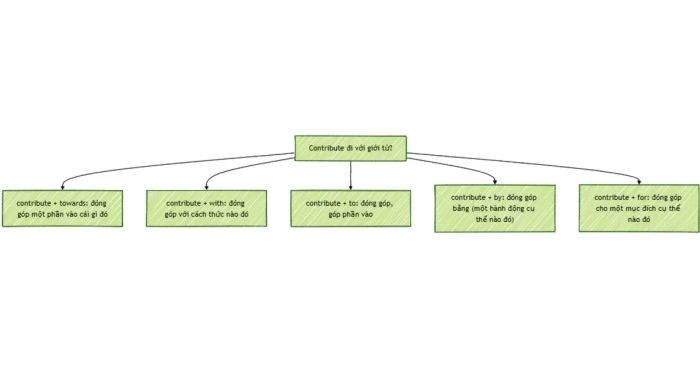 Biểu đồ tổng hợp các giới từ thường dùng với Contribute