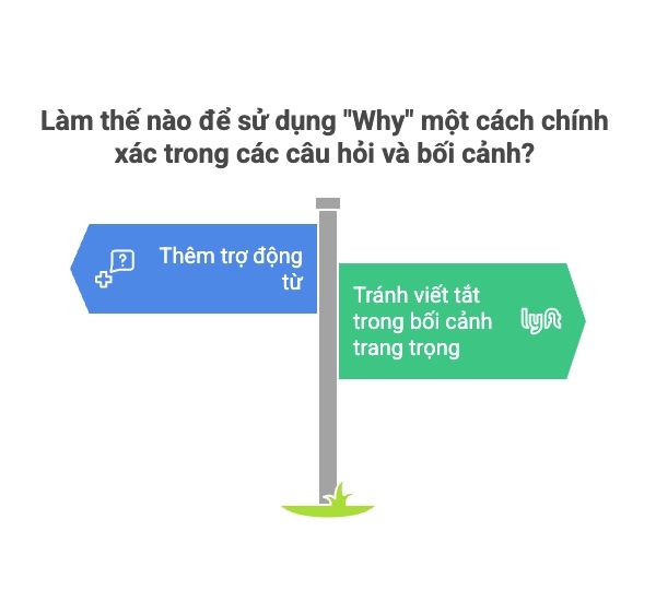 Cách sử dụng Why trong câu hỏi