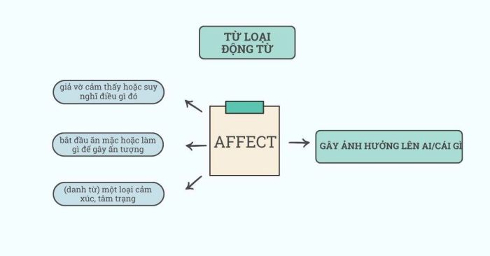 Sơ đồ minh họa và giải thích ý nghĩa của từ Affect