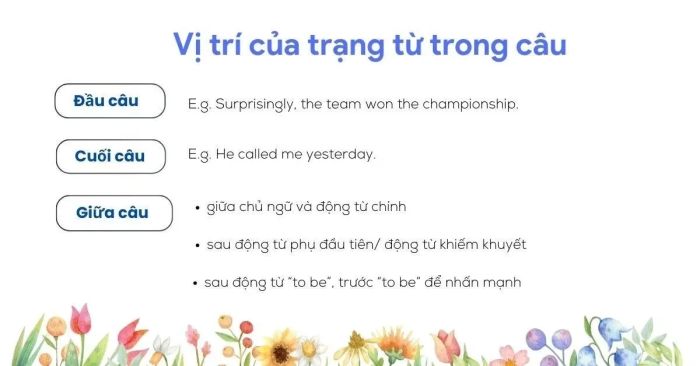 Vị trí của trạng từ trong câu