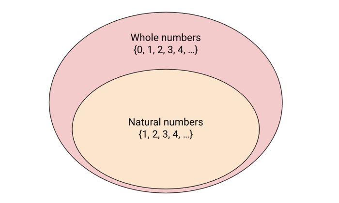Whole number (noun): số nguyên không âm