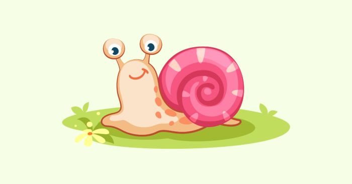 cac loai oc trong tieng anh tu vung phan loai va bai tap ap dung