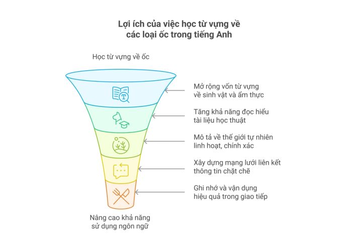Lý do nên học từ vựng về các loại ốc trong tiếng Anh