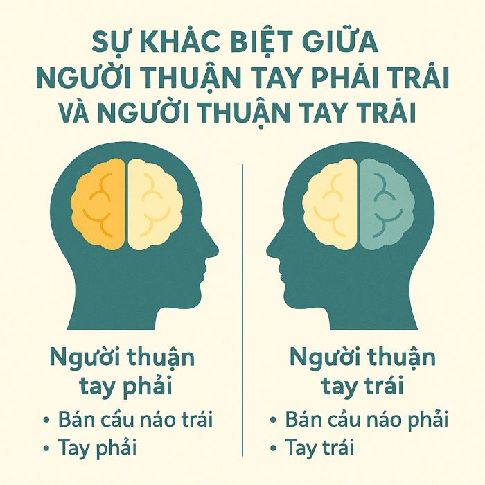 Những khác biệt giữa người thuận tay trái và tay phải