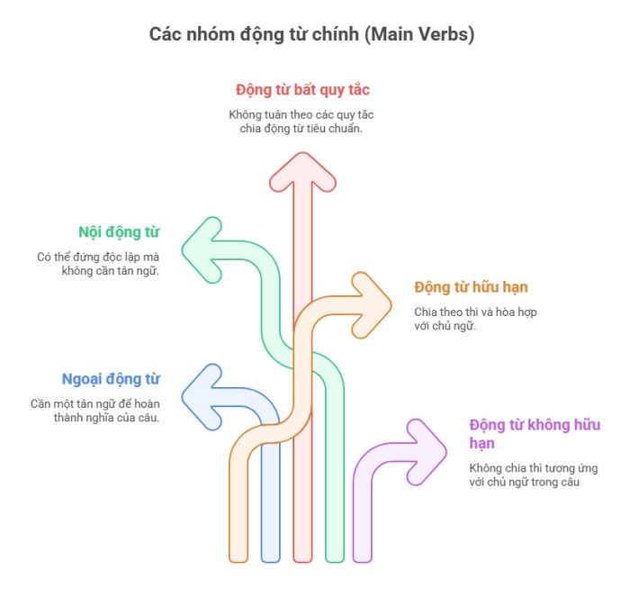 Động từ chính - Các loại nhóm động từ cơ bản