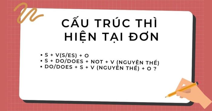 Cấu trúc của thì hiện tại đơn