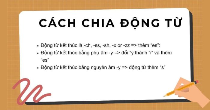 Phương pháp chia động từ