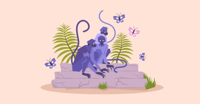 mau bai ielts speaking part 1 topic wild animals va tu vung