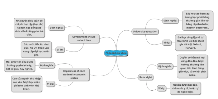 Since higher education is considered a fundamental right, some argue that the government should provide it free of charge for everyone, irrespective of their financial background