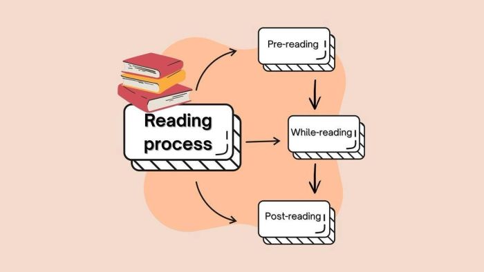 Ba giai đoạn cơ bản của Quy trình đọc (Reading Process)