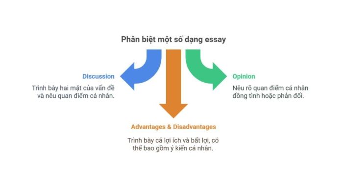 Những Dạng Essay Thông Dụng