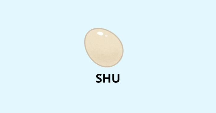 Giai đoạn Shu (守) – Bước đầu tiên trong quá trình học
