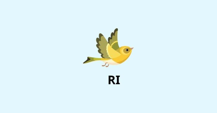 Giai đoạn Ri (離) – Giai đoạn giải phóng và sáng tạo độc lập