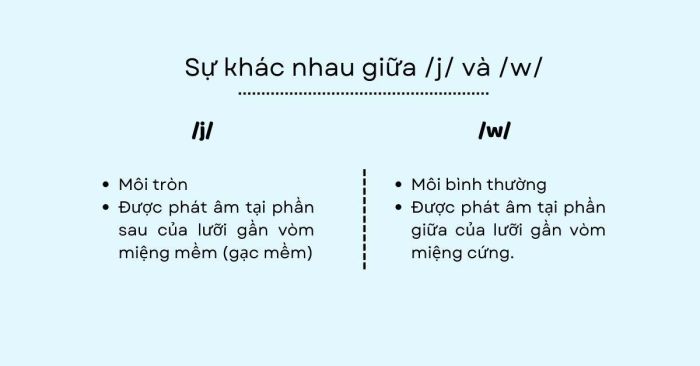 Phân biệt âm /j/ và âm /w/ khi phát âm