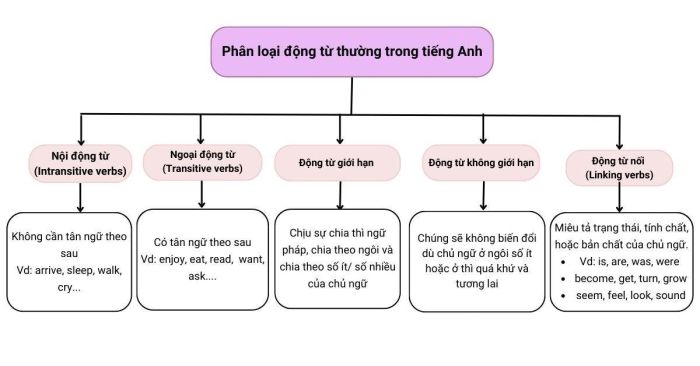 Phân loại các loại động từ cơ bản trong tiếng Anh