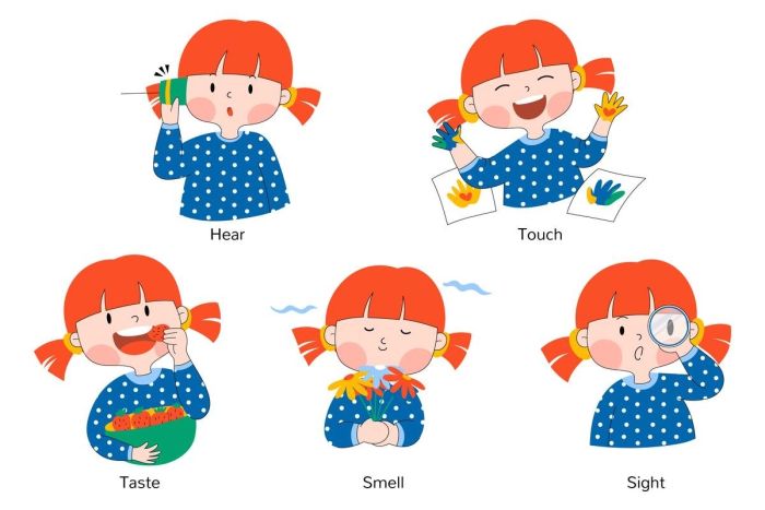 Động từ miêu tả giác quan