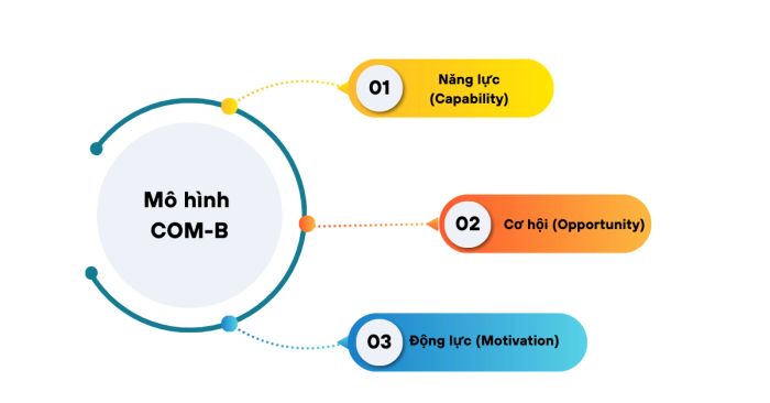 Mô hình COM-B: Ba thành phần then chốt