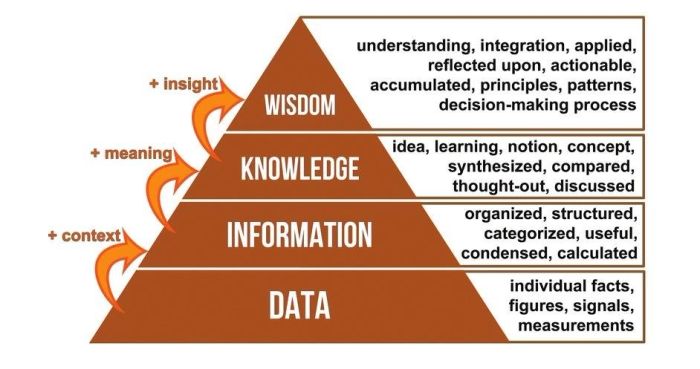 Khái niệm DIKW Pyramid là gì?