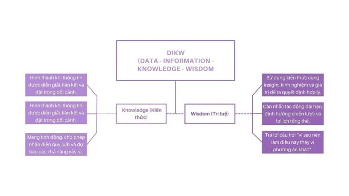Sự liên kết giữa Knowledge và Wisdom trong Kim tự tháp DIKW