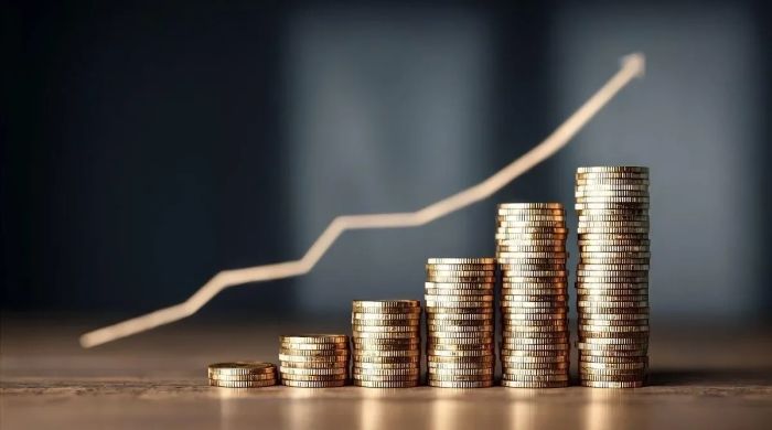 Financial statements - Thu nhập