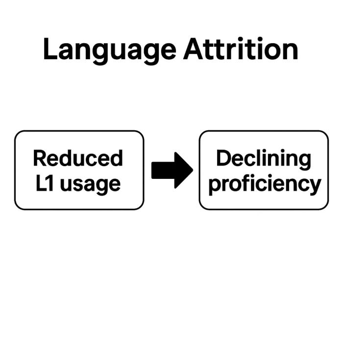 Language Attrition
