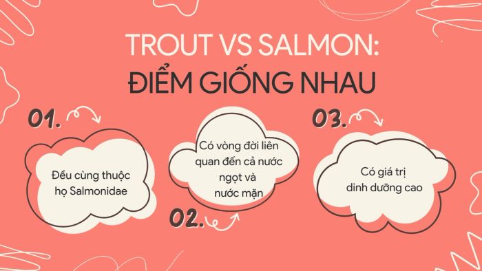 Cá hồi và cá hồi vân: Các đặc điểm chung nổi bật