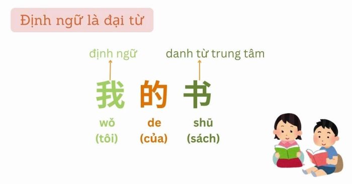 Ví dụ 2: định ngữ là một đại từ