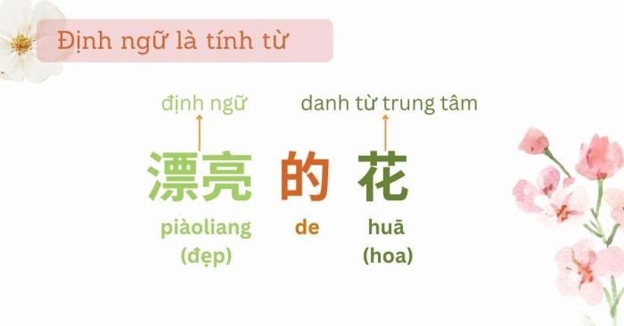 Ví dụ: định ngữ là một tính từ