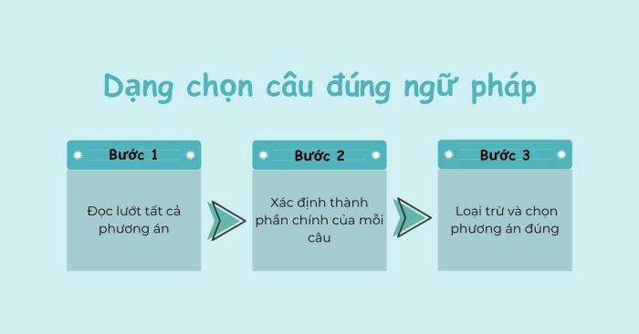 Dạng bài chọn câu có ngữ pháp chính xác