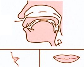 m