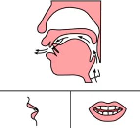 l
