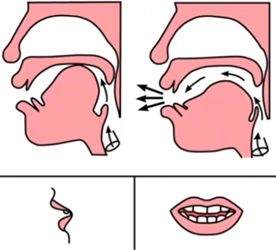 k