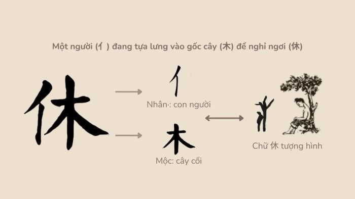 Phân tích chữ 休: 亻(Người) + 木 (Cây)