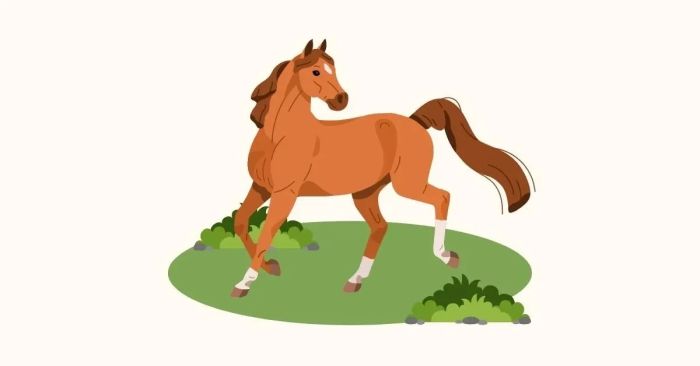 thành ngữ với horse trong tiếng Anh ý nghĩa cách dùng và bài tập