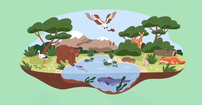 danh sach tong hop cac loai dang co nguy co tuyet chung bang tieng anh