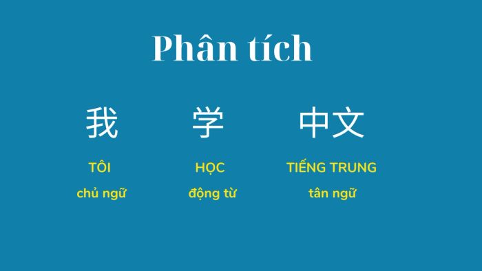 Phân tích câu: 我学中文