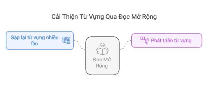 Nâng cao vốn từ vựng thông qua việc đọc