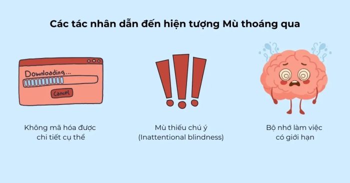 Sự liên hệ giữa Change blindness và các dạng câu hỏi trong Digital SAT Reading